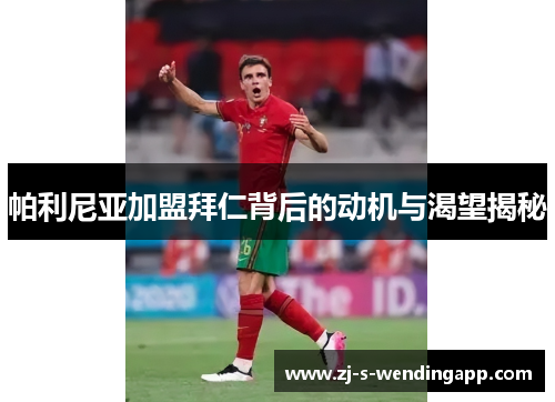 帕利尼亚加盟拜仁背后的动机与渴望揭秘 帕利尼亚加盟拜仁背后的动机与渴望揭秘