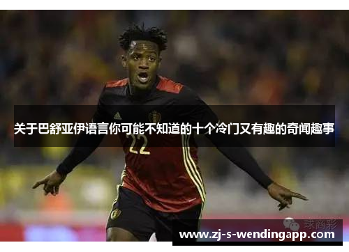 关于巴舒亚伊语言你可能不知道的十个冷门又有趣的奇闻趣事 关于巴舒亚伊语言你可能不知道的十个冷门又有趣的奇闻趣事