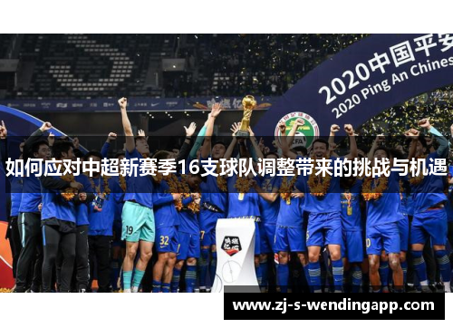 如何应对中超新赛季16支球队调整带来的挑战与机遇