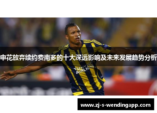 申花放弃续约费南多的十大深远影响及未来发展趋势分析
