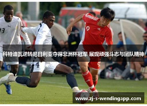 科特迪瓦逆转尼日利亚夺得非洲杯冠军 展现顽强斗志与团队精神